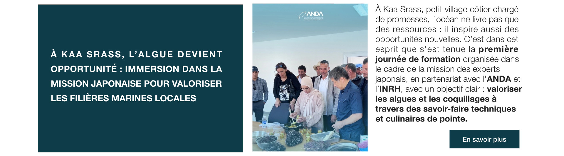 Mission japonaise à Kaa Srass - Algues et coquillages