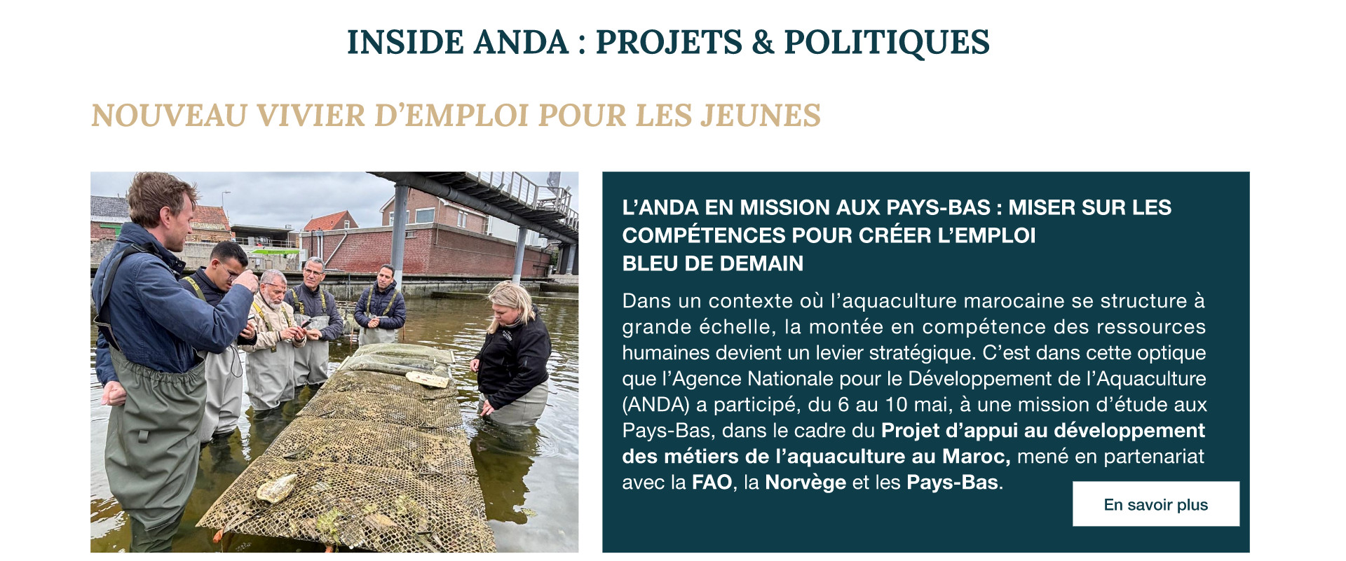 Mission aux Pays-Bas - Emploi bleu