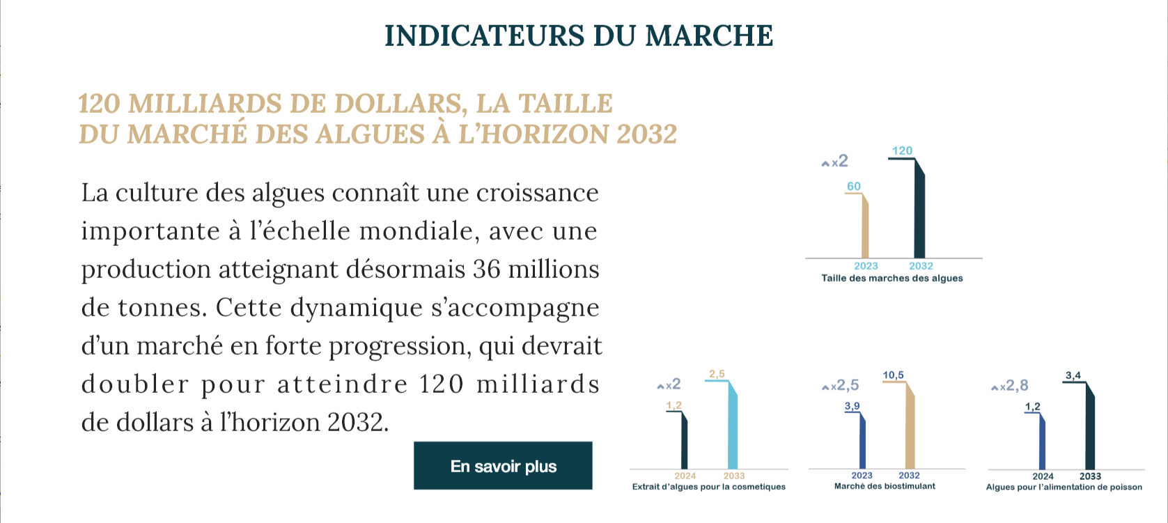 Newsletter semestrielle 2025 - ANDA